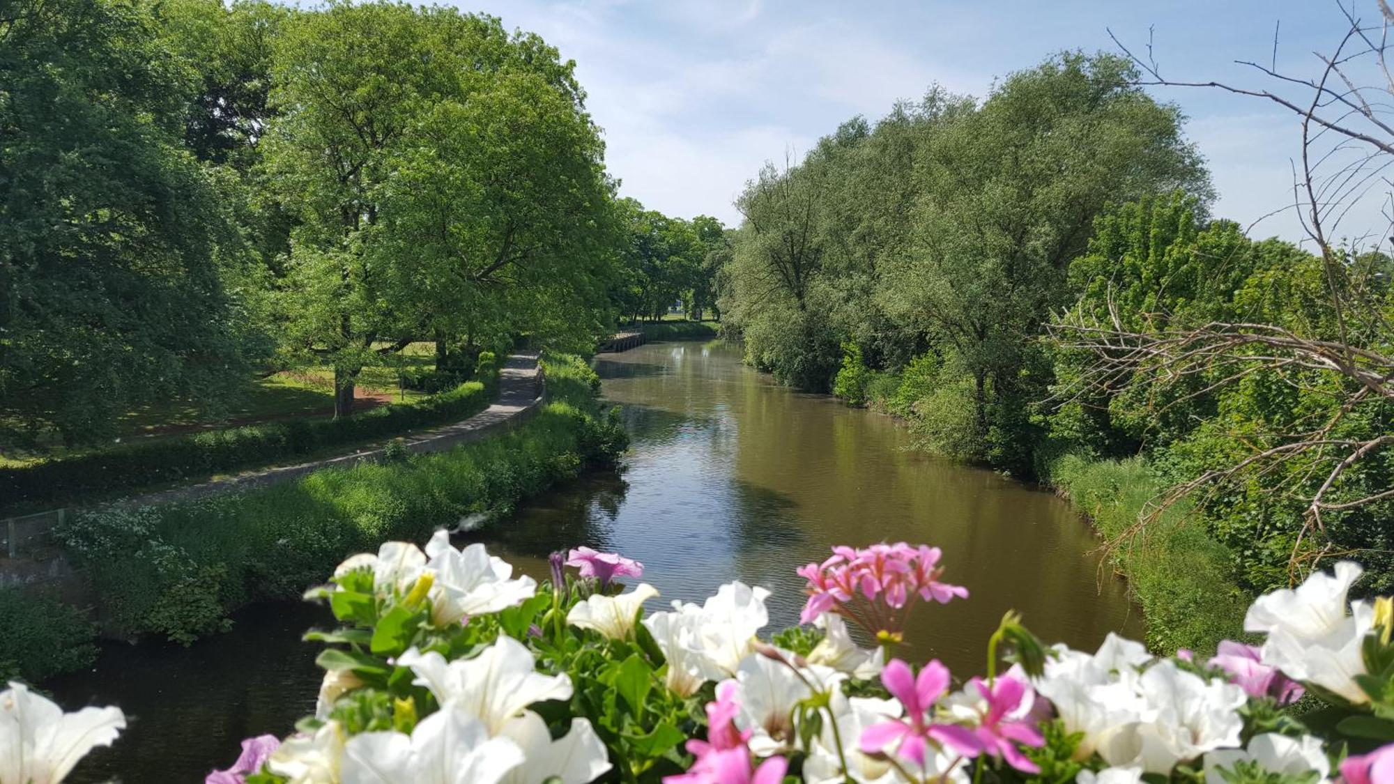 B&B Krieken De Jour Ninove Ngoại thất bức ảnh